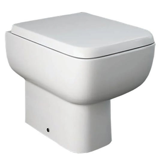 Ranier Back to Wall Toilet with Flush