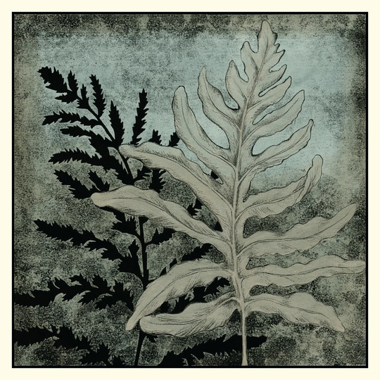 Illuminated Ferns II by Megan Meagher - Wrapped Canvas Painting