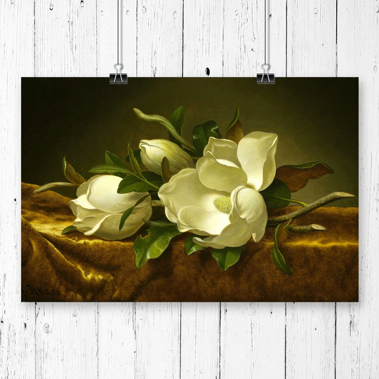 'Magnolias' by Martin Johnson Heade Graphic Art