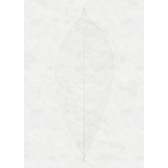 Imhoff 2.8m x 2m Wall Mural