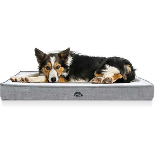 Dog Bed - Extra Large 101x69cm, 7cm Thick Memory Foam for Good Support - Waterproof Orthopedic Dog Bed with Soft Washable Cover Easy to Clean for
