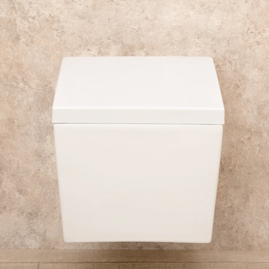 Shawntella Wall Hung Toilets with Soft Close Seat