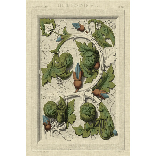 Decorative Flourish II - Wrapped Canvas Graphic Art