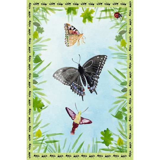 Bug Collector II by Alicia Ludwig - Wrapped Canvas Painting