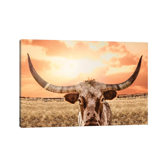 Texas Longhorn Cow and Orange Sunset by Teri James - Photograph on Canvas