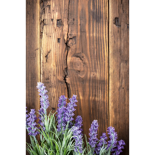 Lavender by Yelena Yemchuk - Wrapped Canvas Photograph
