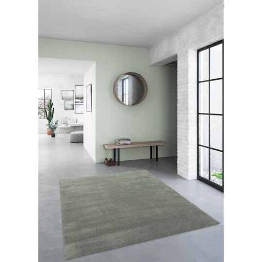 Reynaldo Machine Washable Shaggy Green Rug