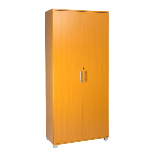Budd 2 Door Storage Cabinet