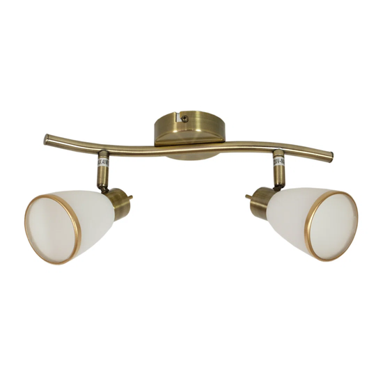 Sennett 2-Light 38cm Ceiling Spotlight