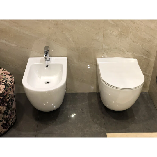 Wall Hung Toilet with Dual Flush and Soft Close Seat