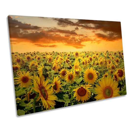 Sunflowers Sunset Floral CANVAS WALL ART Picture Print