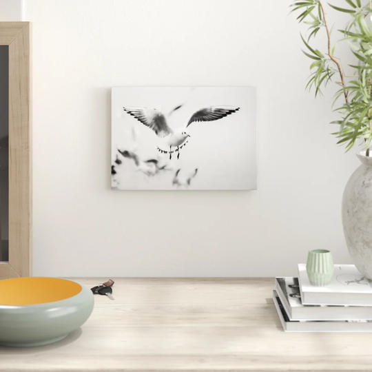 'Seagulls Birds' Graphic Art