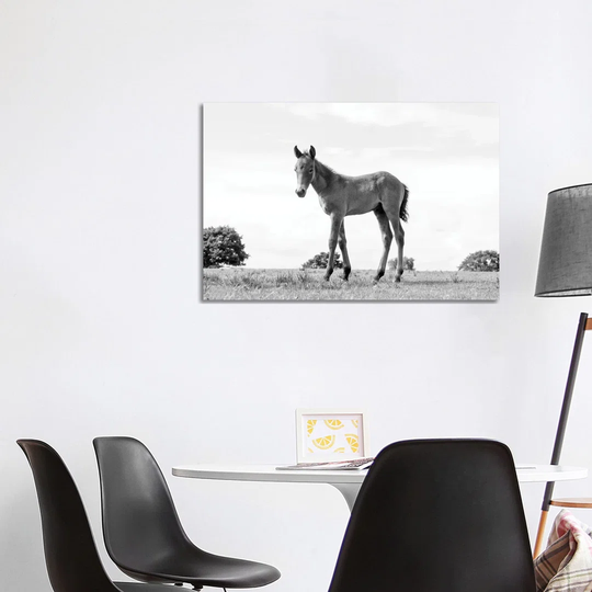 Foal Beauty by Andrew Lever - Wrapped Canvas Photograph