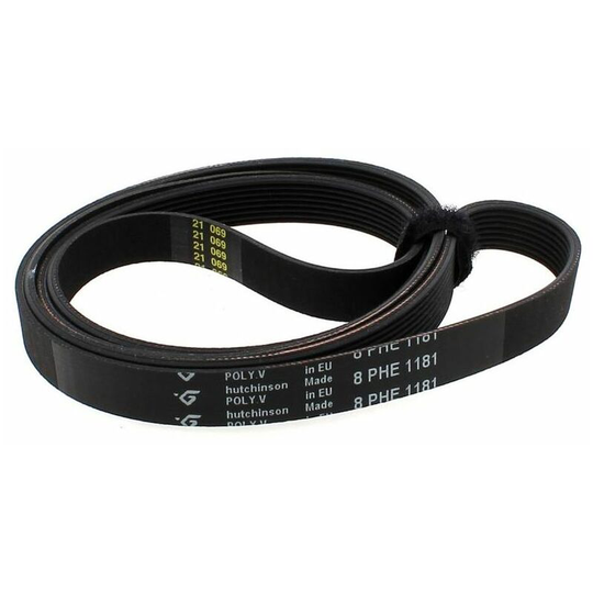 Belt L=1181 Mm H8 for Hotpoint/Indesit/Ariston Washing Machines