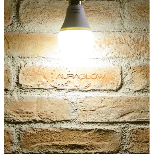 Fricke 9W E27 LED GLS Light Bulb