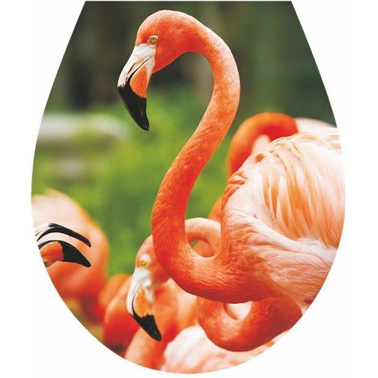 'Flamingos' WC Seat Sticker Toilet Lid Cover Bathroom Art 32x38cm
