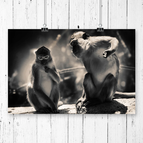 'Mountain Monkeys' Graphic Art