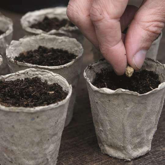 Franklyn Natural Fibre Plant Pot