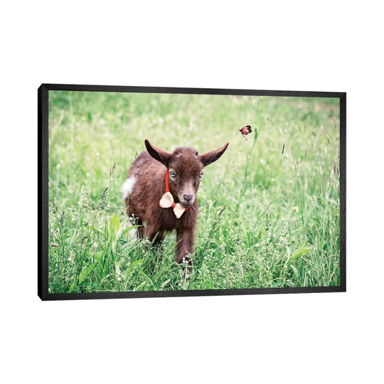 Dwarf Goat Bow Tie - Art Prints on Canvas