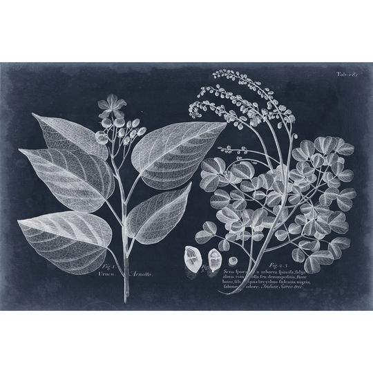 Foliage on Navy III by Vision Studio - Wrapped Canvas Graphic Art