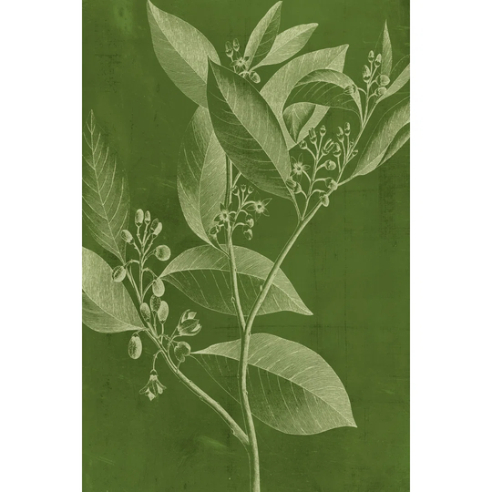 Modern Botany IV by Vision Studio - Wrapped Canvas Art Prints