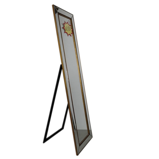 Danae Resin Framed Freestanding Full Length Mirror in Gold