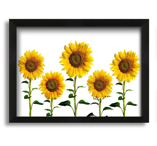 Sunflower Mayhem - Picture Frame Graphic Art on Canvas