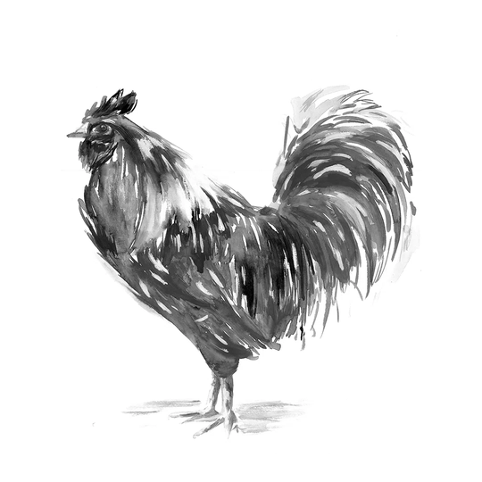 Rooster Black and White Ink 2 - Wrapped Canvas Art Prints