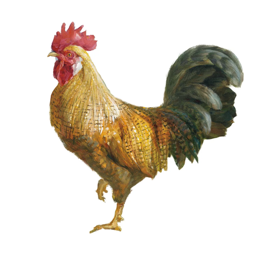 Noble Rooster II on White by Danhui Nai - Wrapped Canvas Painting Print