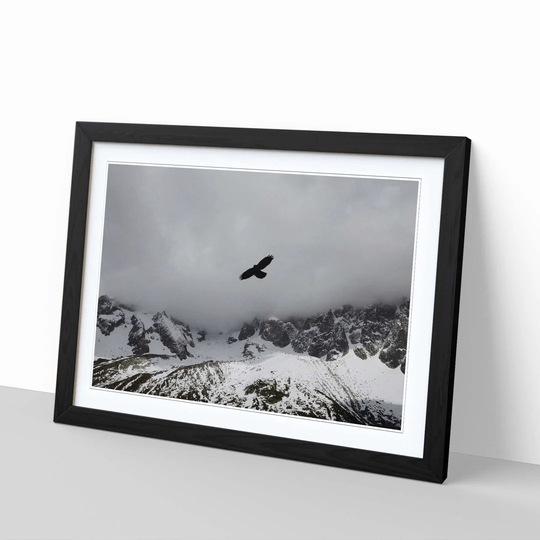 Bird Flying over Mountains Framed Photographic Print
