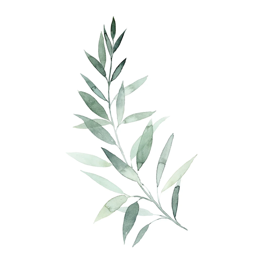 Sea Glass Sprig I by Grace Popp - Wrapped Canvas Painting