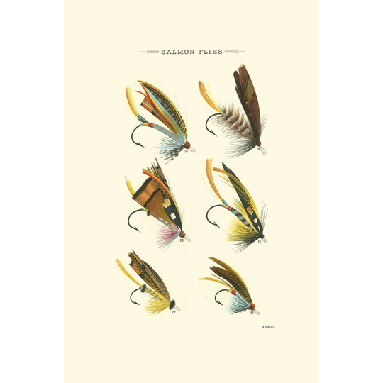 Salmon Flies I by Vision Studio - Wrapped Canvas Graphic Art