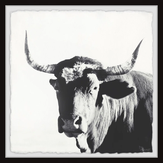 Longhorns Stand Out - Picture Frame Photograph on Paper