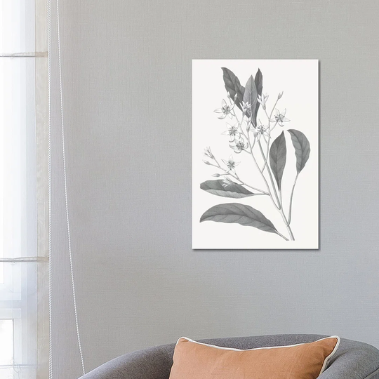 Neutral Botanical V - Wrapped Canvas Painting