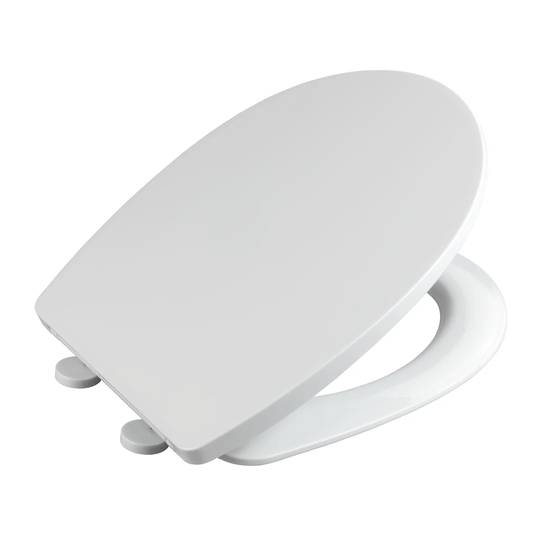 Brierly Soft Close Elongated Toilet Seat