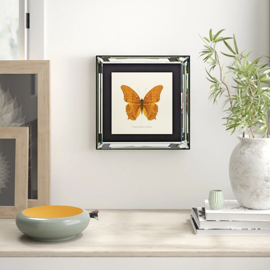 'Vindula Dejone Celebensis' Framed Graphic Art Print on Glass