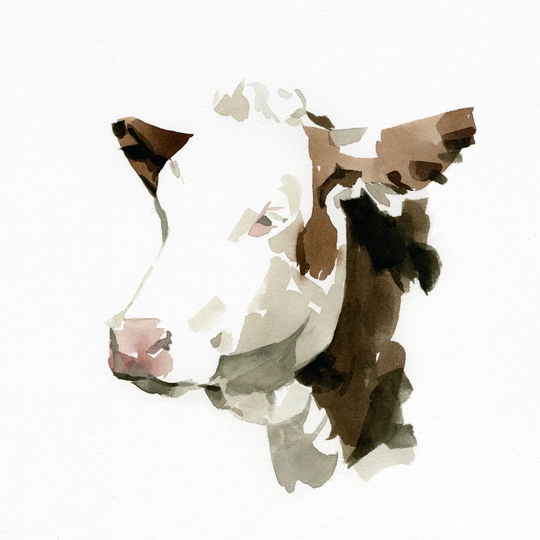 Bovine II by Emma Caroline - Wrapped Canvas Painting