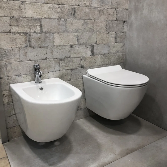 Pair Of Rimless Wall Hung Sanitary Ware Without Rim Round Line Reduced Dimensions Soft-Close Cover