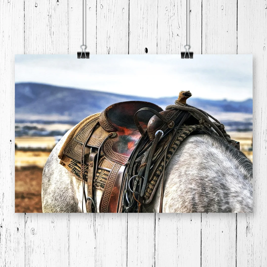 'Horse Back Saddle' Photographic Print