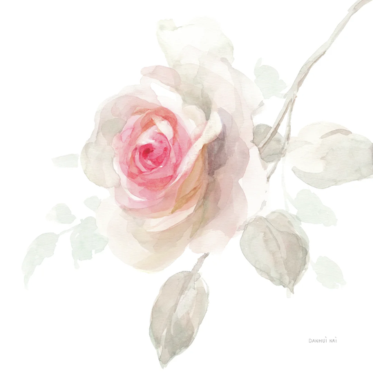Gentle Rose II by Danhui Nai - Wrapped Canvas Painting