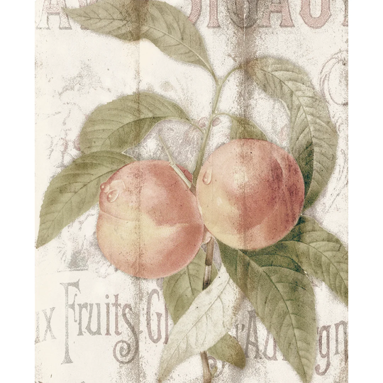 Vintage Fruit II - Wrapped Canvas Painting Print