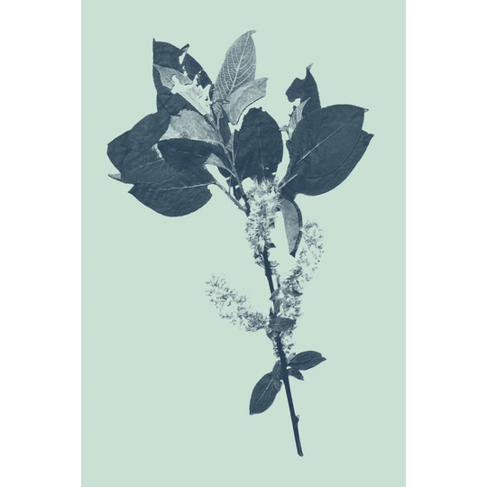 Indigo & Mint Botanical Study V by Vision Studio - Wrapped Canvas Graphic Art