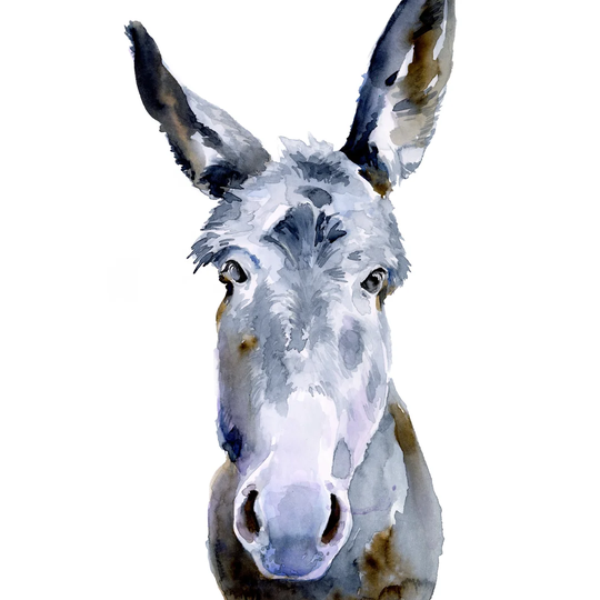 Sweet Donkey II by Jennifer Paxton Parker - Wrapped Canvas Painting