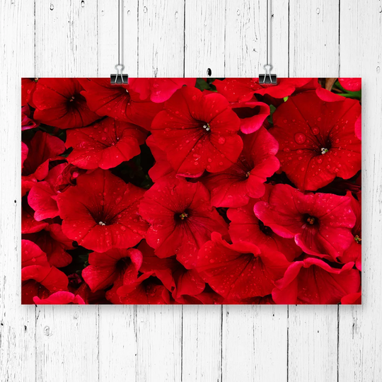 'Seeing Red Flowers' Graphic Art