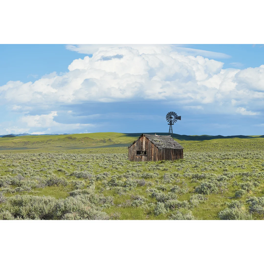 Barn Scene IV by James McLoughlin - Wrapped Canvas Photograph