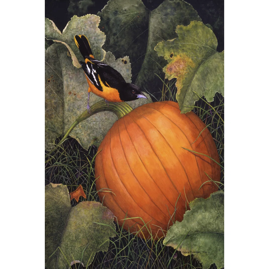 Oriole & Pumpkin by Marcia Matcham - Wrapped Canvas Art Prints