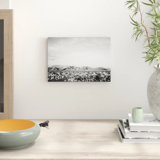 'Death Valley' by Ansel Adams Graphic Art