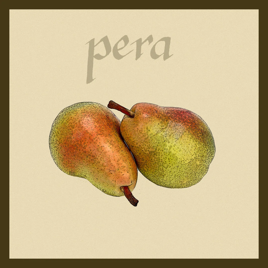 Italian Fruit II - Wrapped Canvas Graphic Art