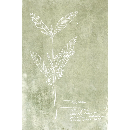 Essential Botanicals IV