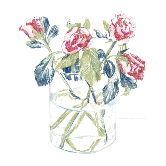 Hockney Roses II by Emma Caroline - Wrapped Canvas Painting
